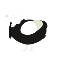 A sable and white chicken with a head pattern