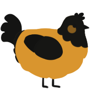 A orange and black chicken with a head pattern