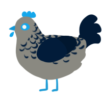 A ash and tumblr chicken with a half-lace pattern