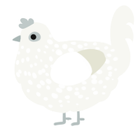 A white chicken with a speckle pattern