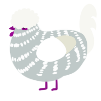 A silver and white chicken with a bar pattern