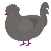 A grey chicken with a lace pattern