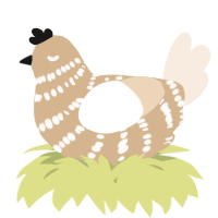 A beige and cream chicken with a bar pattern