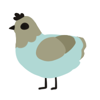 A silver and ash chicken with a head pattern