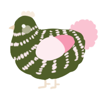 A olive and rose chicken with a bar pattern