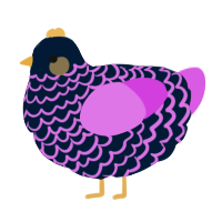 A tumblr and orchid chicken with a lace pattern