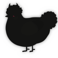 A black chicken
