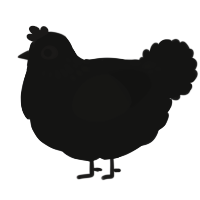 A black chicken with a neck-speckle pattern