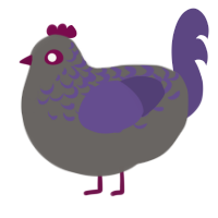 A grey and overcast chicken with a half-lace pattern
