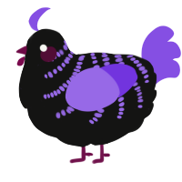 A black and blurple chicken with a half-bar pattern