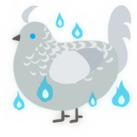 A silver and mist chicken with a half-lace pattern