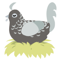 A grey and silver chicken with a half-lace pattern