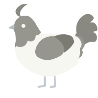 A white and ash chicken with a head pattern