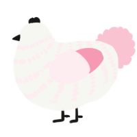 A white and rose chicken with a bar pattern