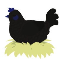 A sable and black chicken with a lace pattern
