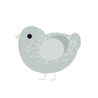 Canio, a silver chicken with a half-lace pattern