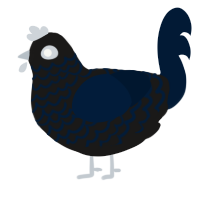 A sable and tumblr chicken with a lace pattern