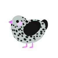 Cartography, a silver and black chicken with a speckle pattern