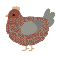 A russet and ash chicken with a double-lace pattern