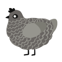 A grey and ash chicken with a lace pattern