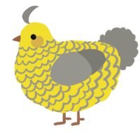 A yellow and ash chicken with a lace pattern