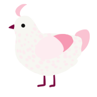 A white and rose chicken with a speckle pattern