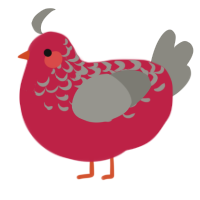 A crimson and ash chicken with a half-lace pattern