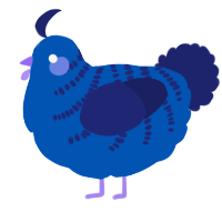A ultramarine and navy chicken with a half-bar pattern