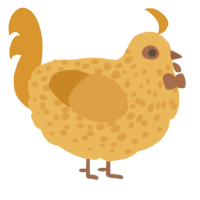 A honey and orange chicken with a speckle pattern