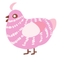 A pink and rose chicken with a bar pattern