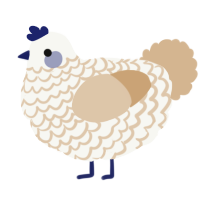 A white and beige chicken with a lace pattern
