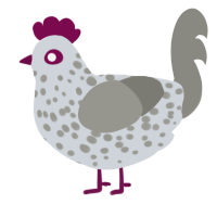 A mist and ash chicken with a speckle pattern