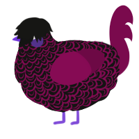 A black and wine chicken with a double-lace pattern