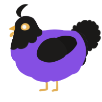 A blurple and sable chicken with a head pattern