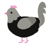 A black and ash chicken with a head pattern