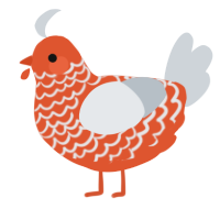 A vermilion and mist chicken with a lace pattern