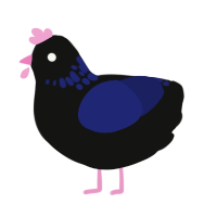 A black and navy chicken with a neck-speckle pattern