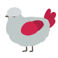 A silver and crimson chicken