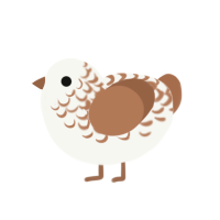 why are you white, a white and brown chicken with a half-lace pattern