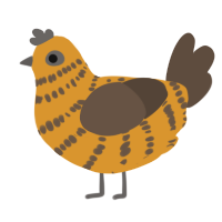 A orange and bark chicken with a bar pattern