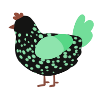 A black and spring chicken with a speckle pattern