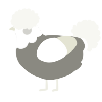 A ash and white chicken with a head pattern