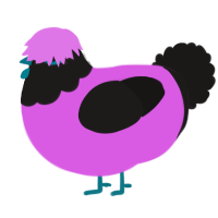 A orchid and sable chicken with a head pattern