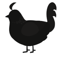 A black and sable chicken with a neck-speckle pattern