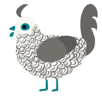 A white and grey chicken with a double-lace pattern