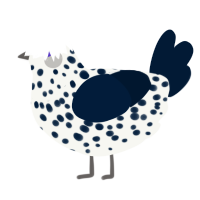 A white and tumblr chicken with a speckle pattern