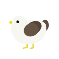 (unnamed), a white and bark chicken