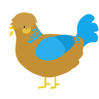 A gold and sky chicken with a neck-band pattern