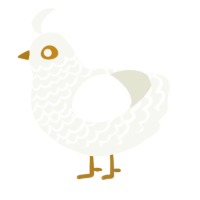 A white chicken with a lace pattern
