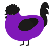 A violet and sable chicken